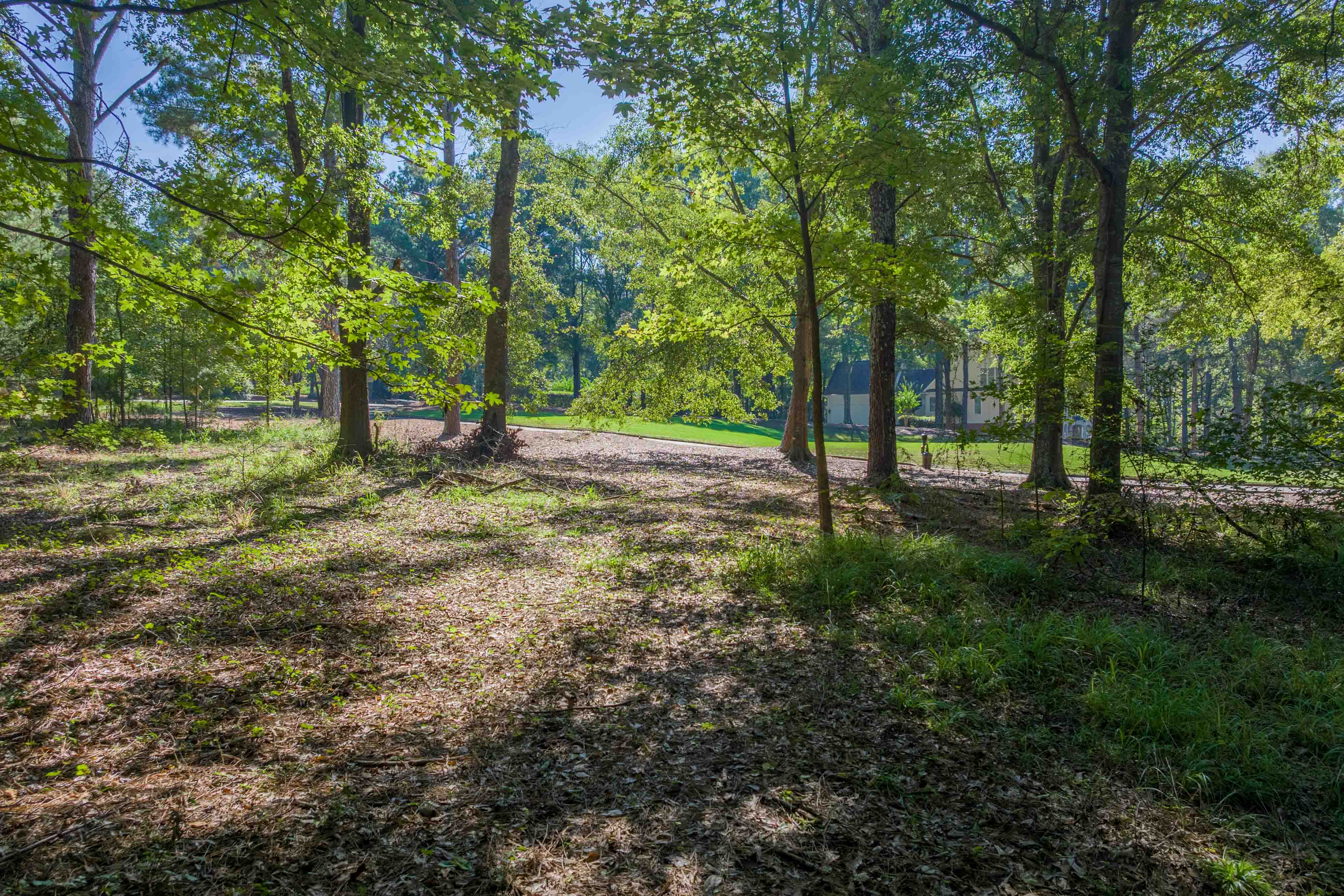 236 Broadlands Drive image 8